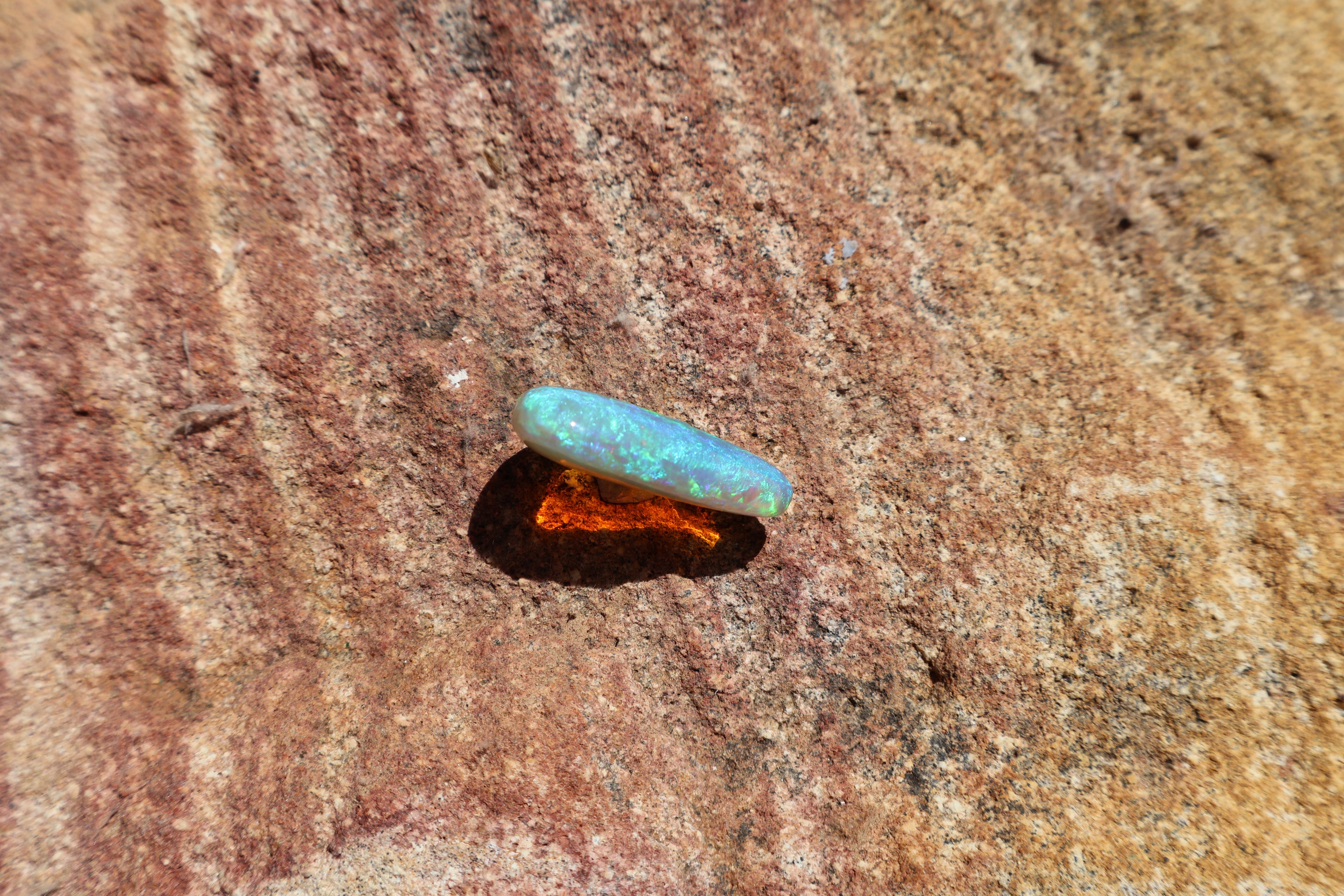 11.6ct Lightning Ridge Crystal Opal - Green, Blue & Purple | 24mm x 15mm