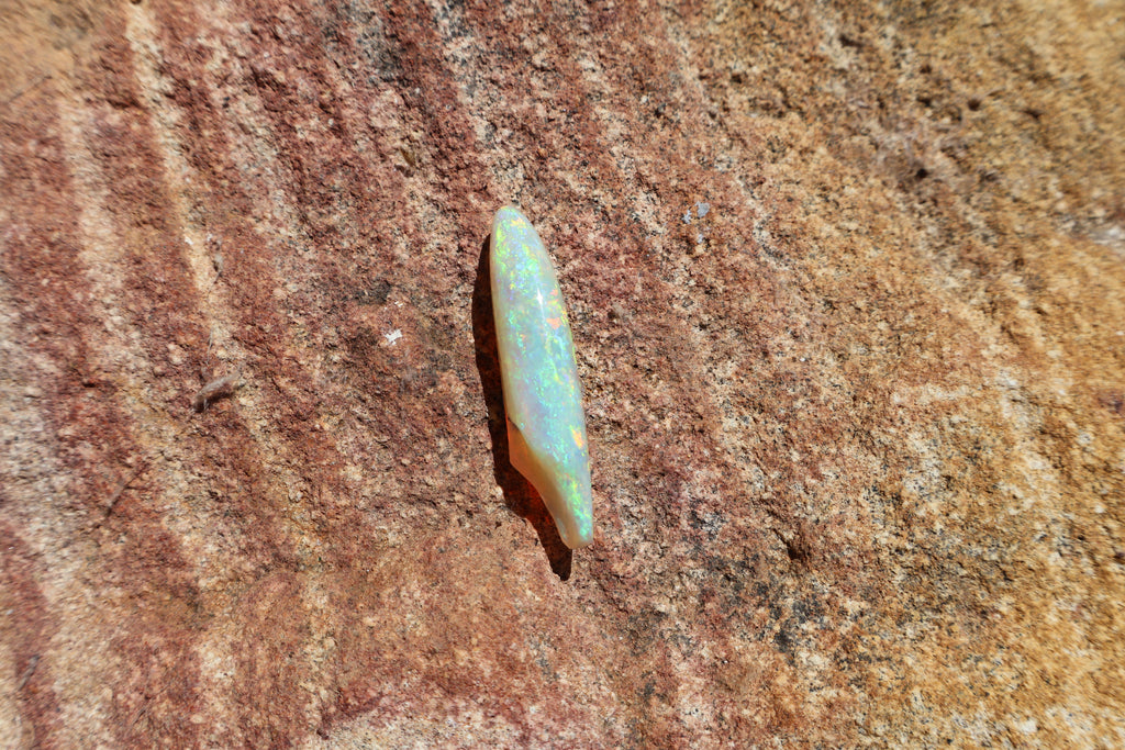 12.95ct Opalised Belemnite Fossil - Bright Full Multi-Colour | 34.5mm x 8.5mm