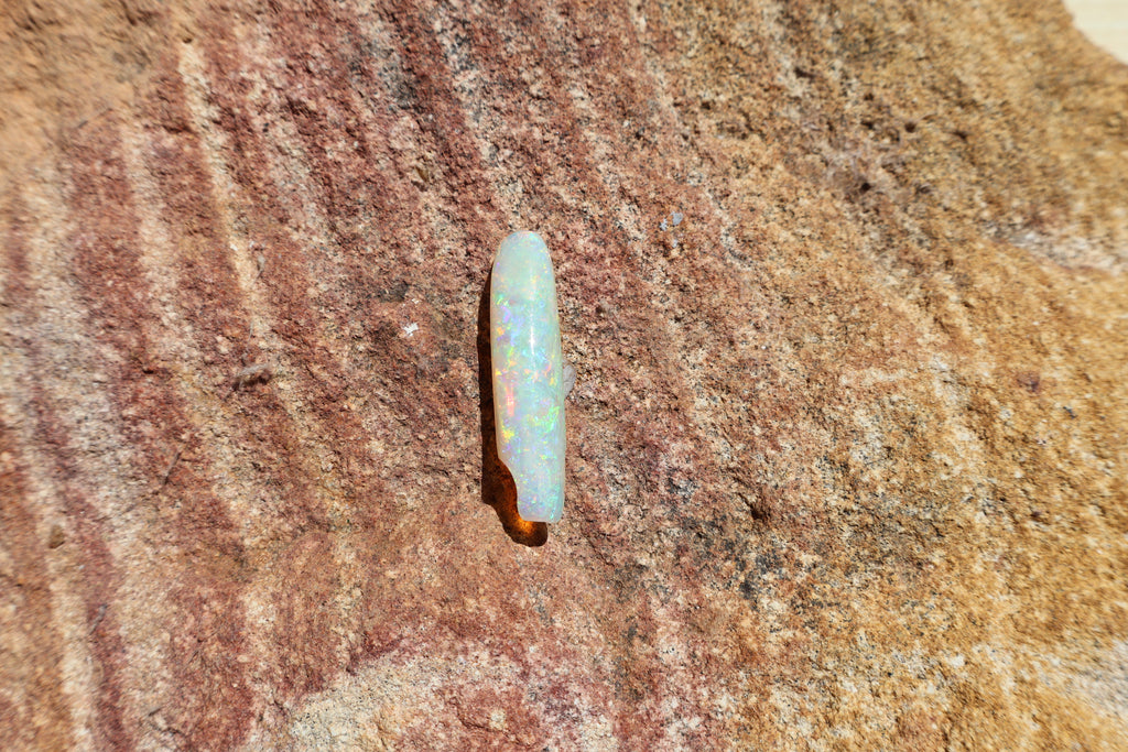 12.95ct Opalised Belemnite Fossil - Bright Full Multi-Colour | 34.5mm x 8.5mm