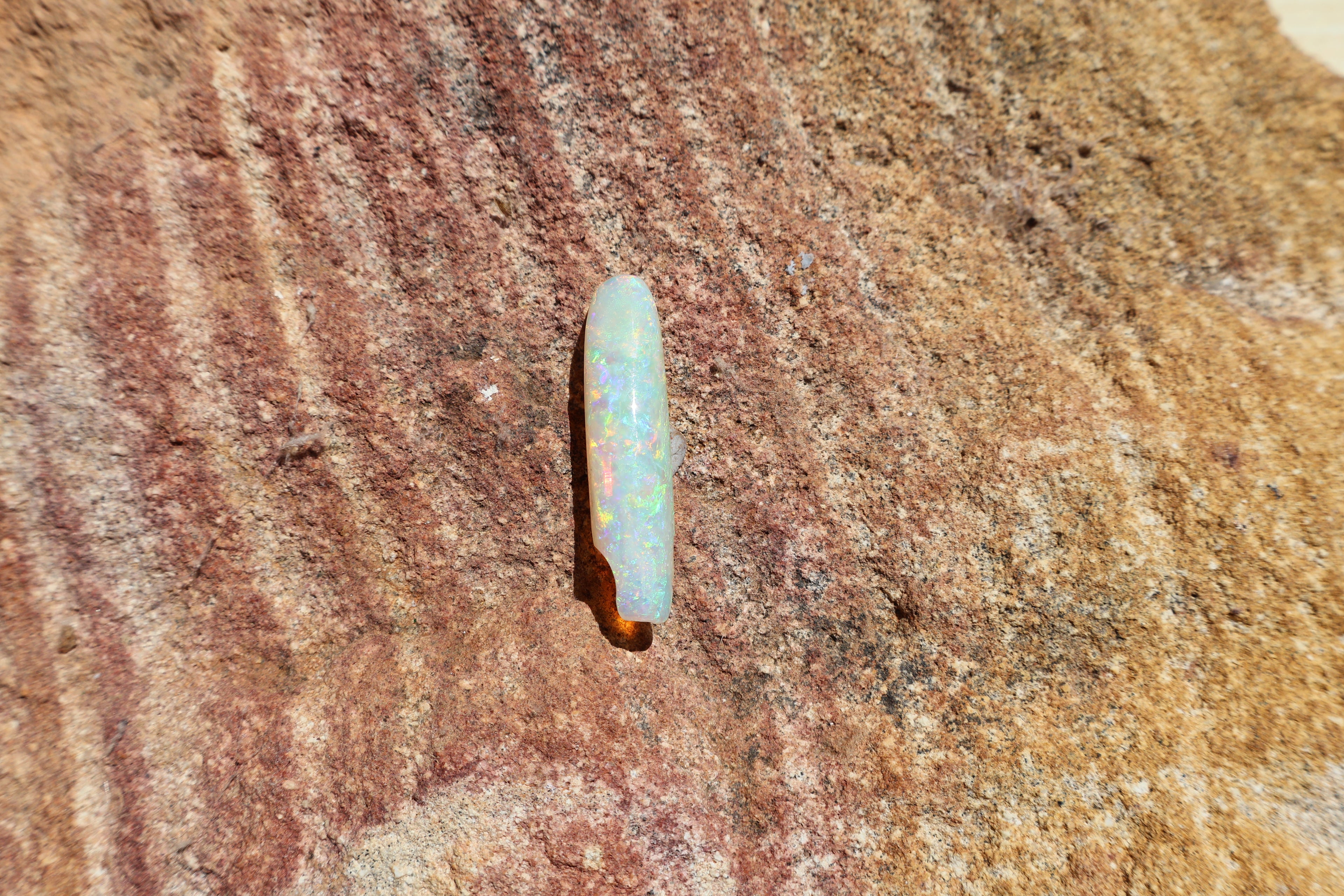 12.95ct Opalised Belemnite Fossil - Bright Full Multi-Colour | 34.5mm x 8.5mm