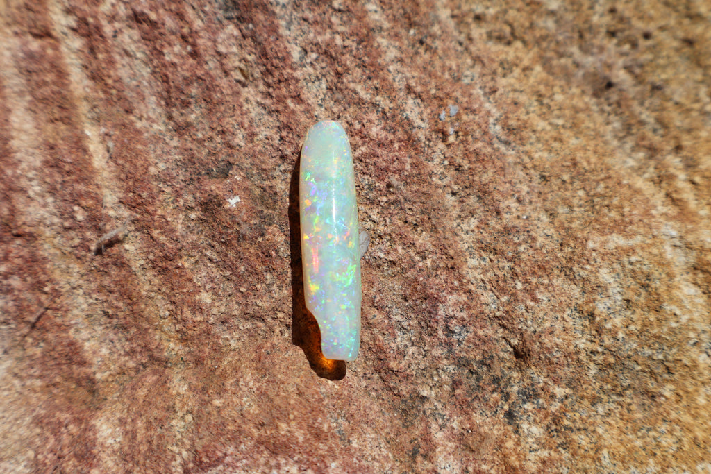12.95ct Opalised Belemnite Fossil - Bright Full Multi-Colour | 34.5mm x 8.5mm