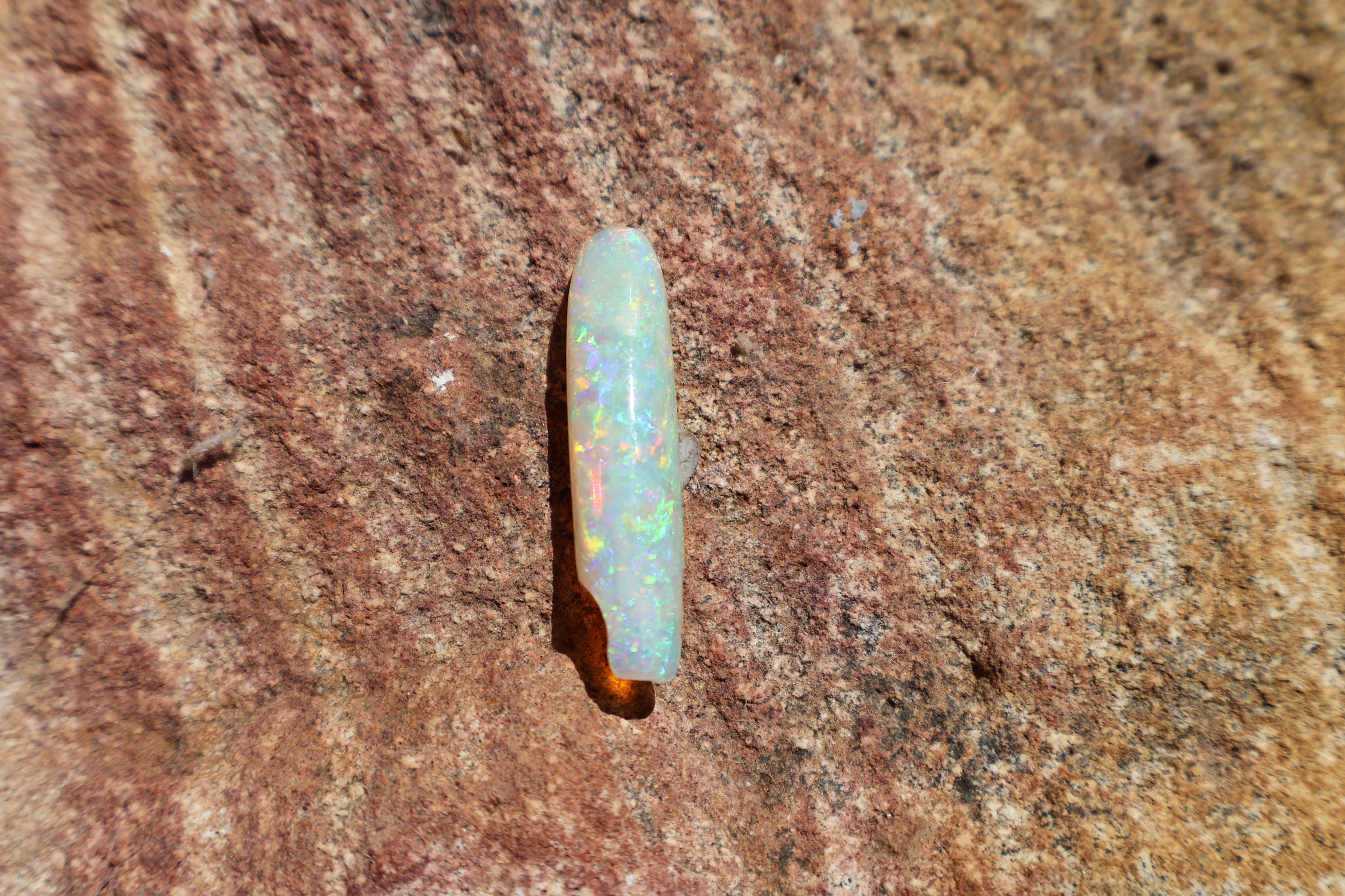 12.95ct Opalised Belemnite Fossil - Bright Full Multi-Colour | 34.5mm x 8.5mm