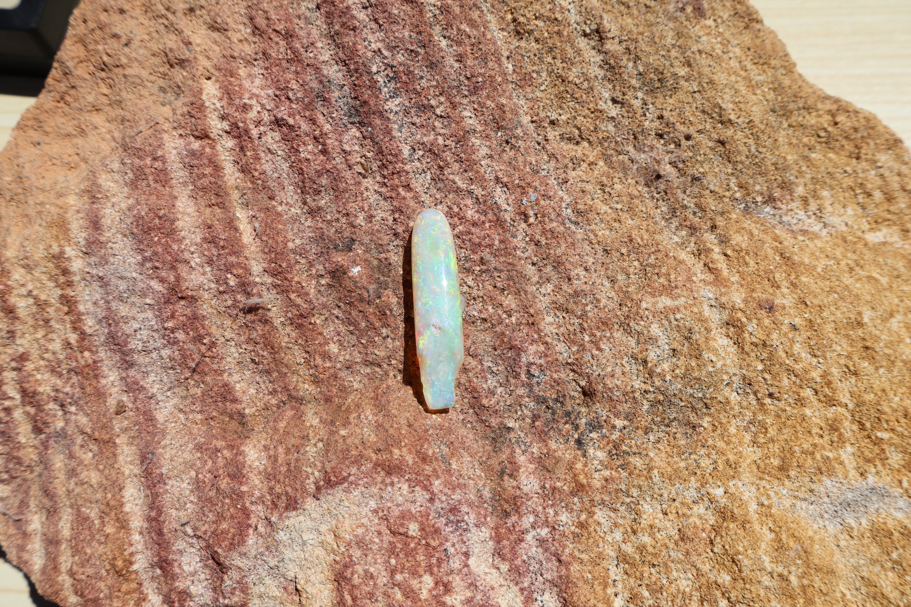 12.95ct Opalised Belemnite Fossil - Bright Full Multi-Colour | 34.5mm x 8.5mm