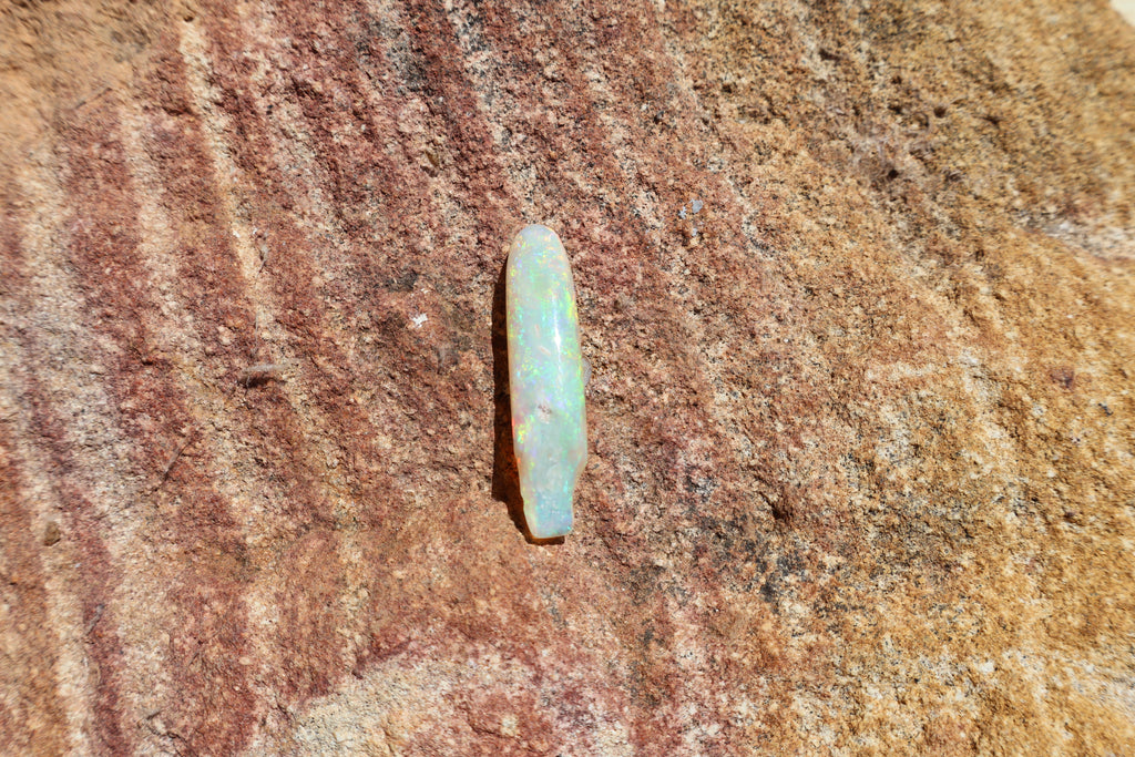 12.95ct Opalised Belemnite Fossil - Bright Full Multi-Colour | 34.5mm x 8.5mm