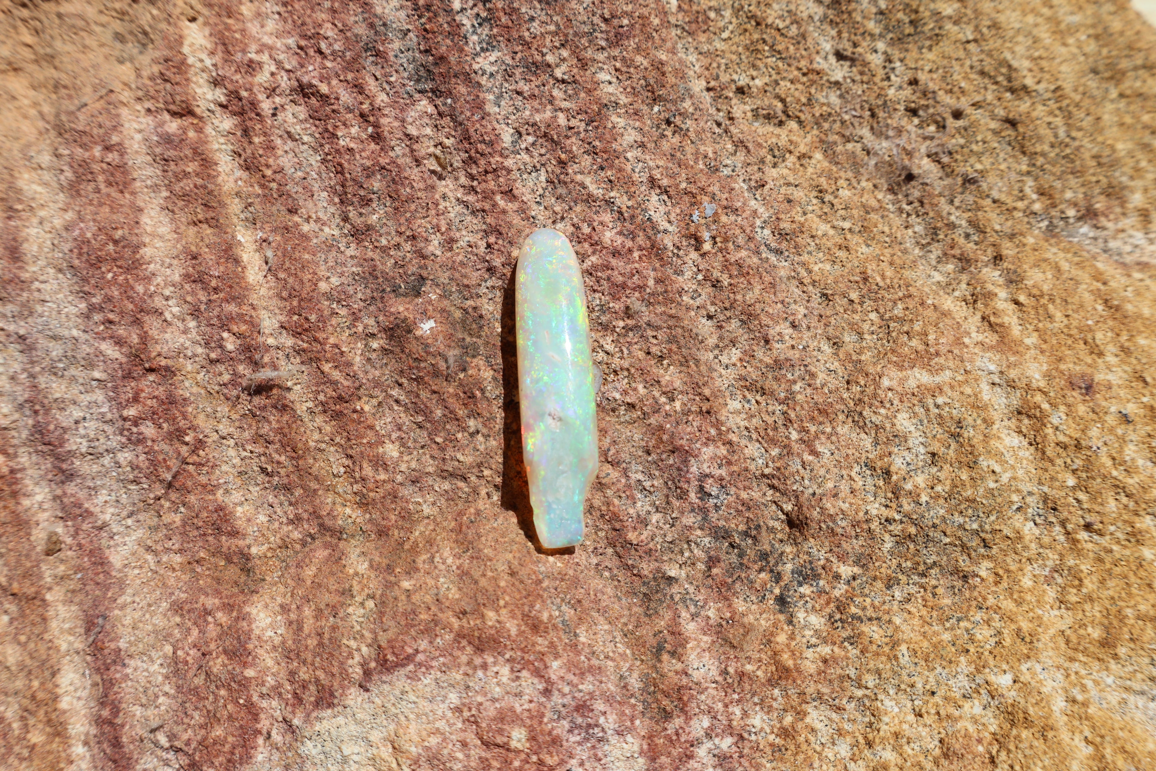 12.95ct Opalised Belemnite Fossil - Bright Full Multi-Colour | 34.5mm x 8.5mm