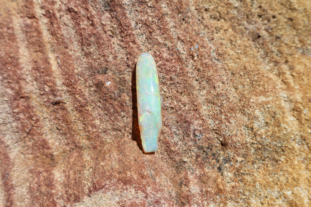 12.95ct Opalised Belemnite Fossil - Bright Full Multi-Colour | 34.5mm x 8.5mm
