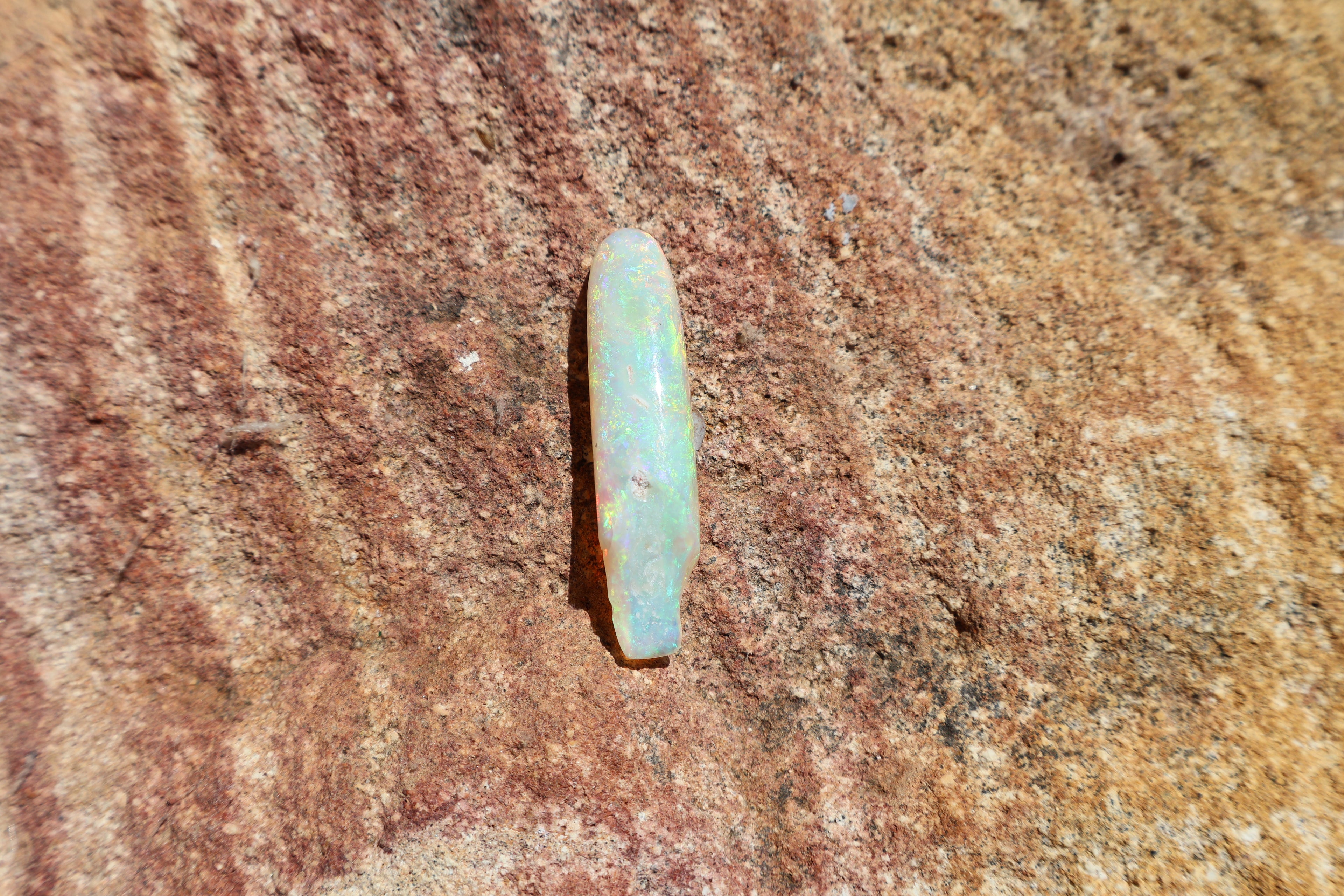 12.95ct Opalised Belemnite Fossil - Bright Full Multi-Colour | 34.5mm x 8.5mm