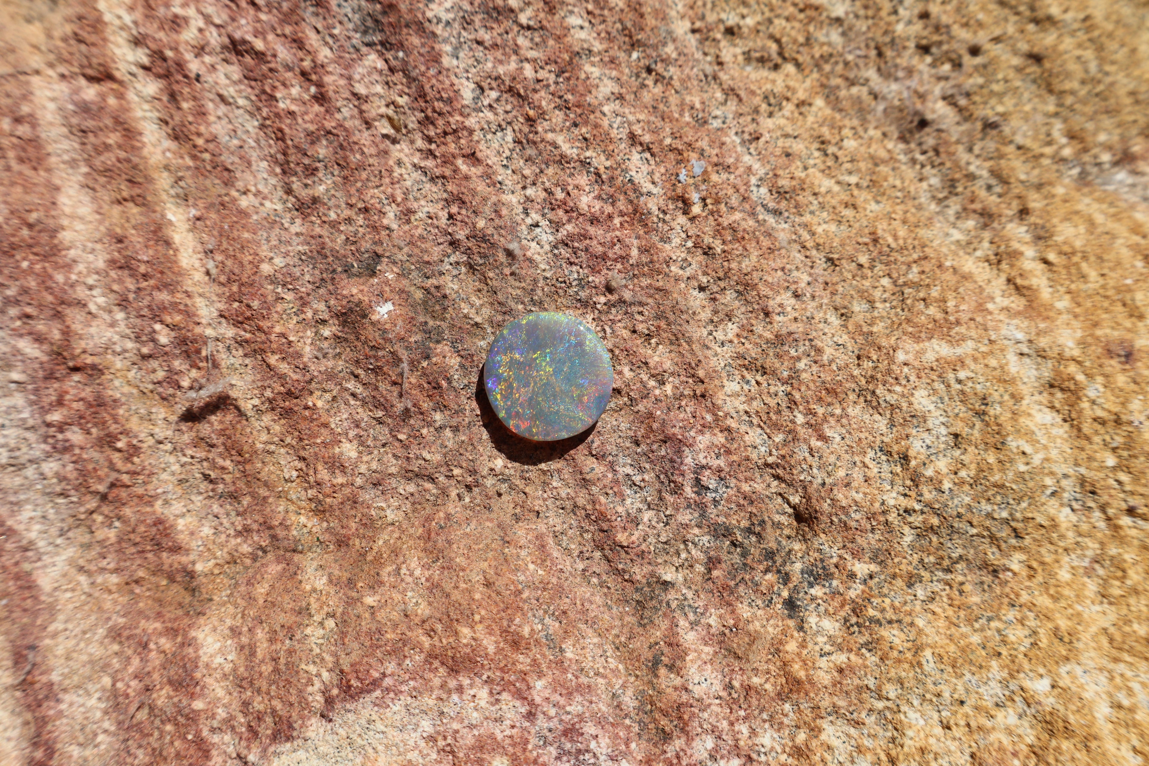 2.85ct Lightning Ridge Opal - Very Bright Red, Yellow, Green, Blue & Orange | 13mm x 13mm