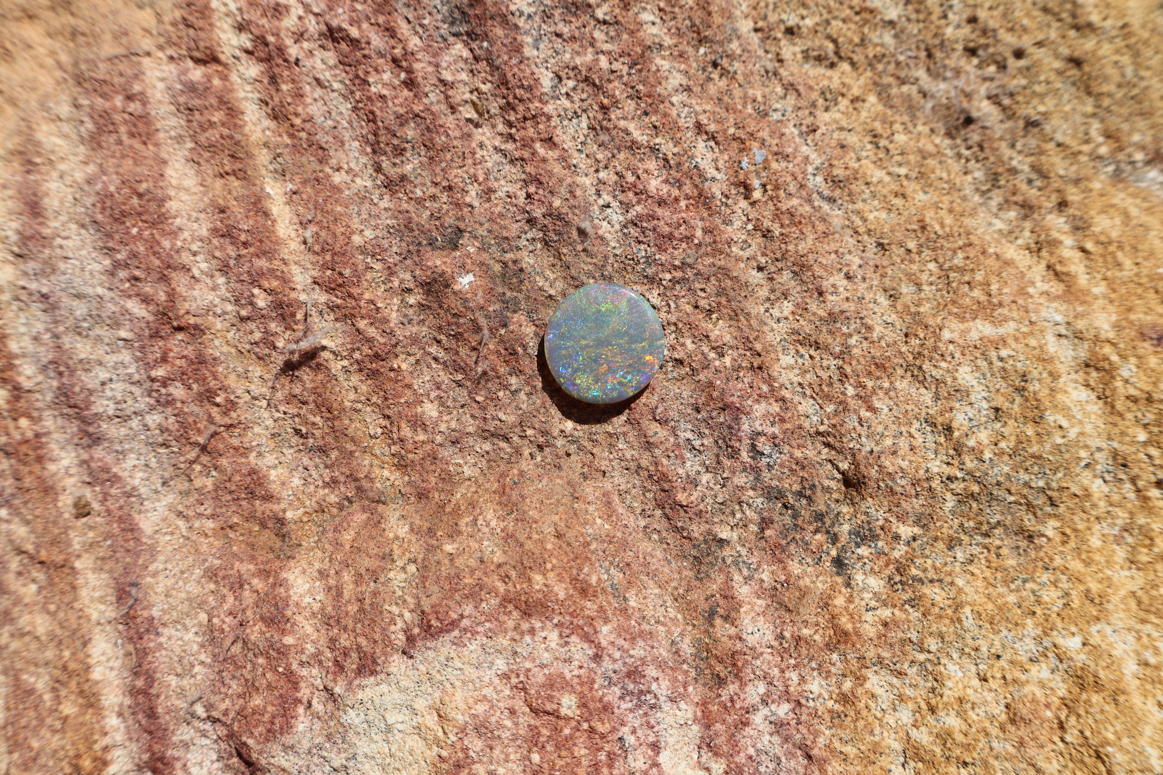 2.85ct Lightning Ridge Opal - Very Bright Red, Yellow, Green, Blue & Orange | 13mm x 13mm