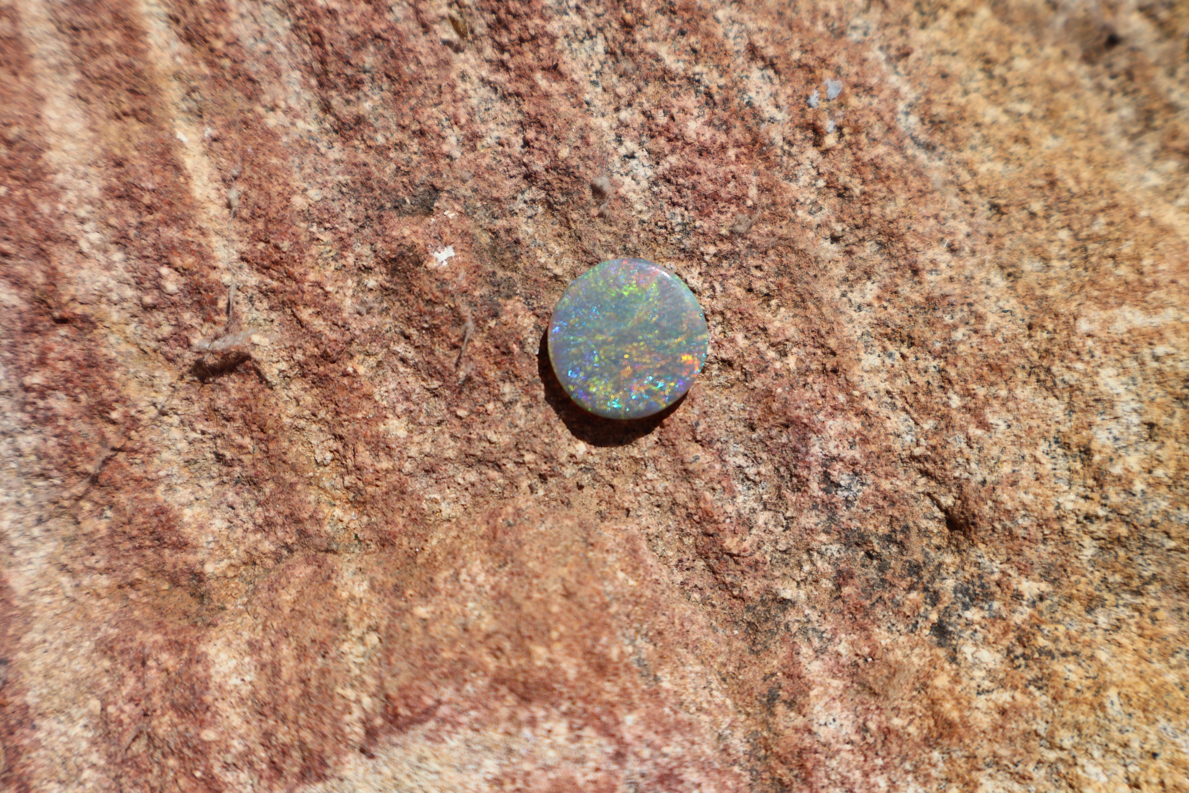2.85ct Lightning Ridge Opal - Very Bright Red, Yellow, Green, Blue & Orange | 13mm x 13mm