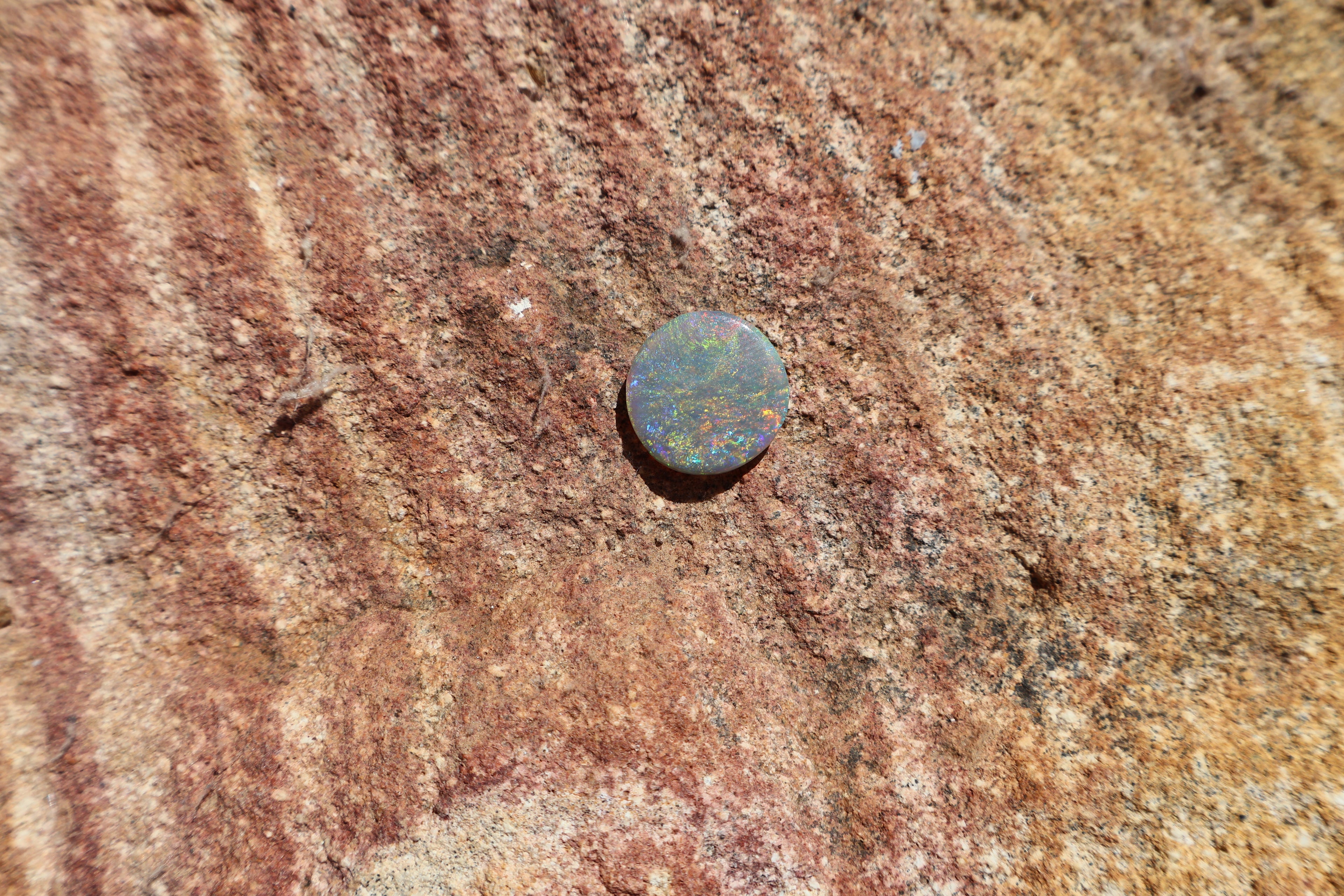 2.85ct Lightning Ridge Opal - Very Bright Red, Yellow, Green, Blue & Orange | 13mm x 13mm