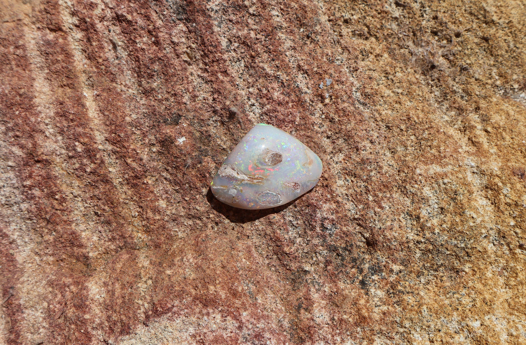 13.9ct Coober Pedy Opal Pippi Shell Fossil - Multi-Colour