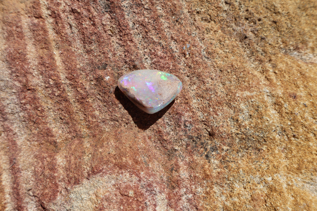 13.9ct Coober Pedy Opal Pippi Shell Fossil - Multi-Colour