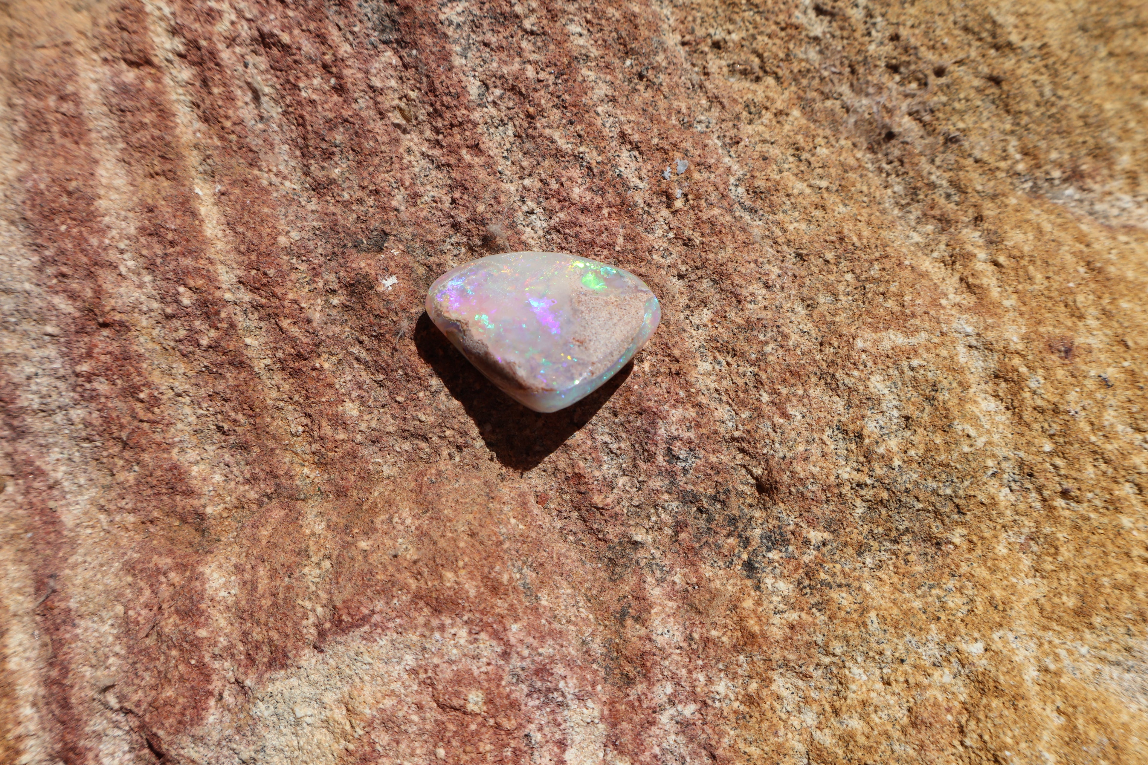 13.9ct Coober Pedy Opal Pippi Shell Fossil - Multi-Colour