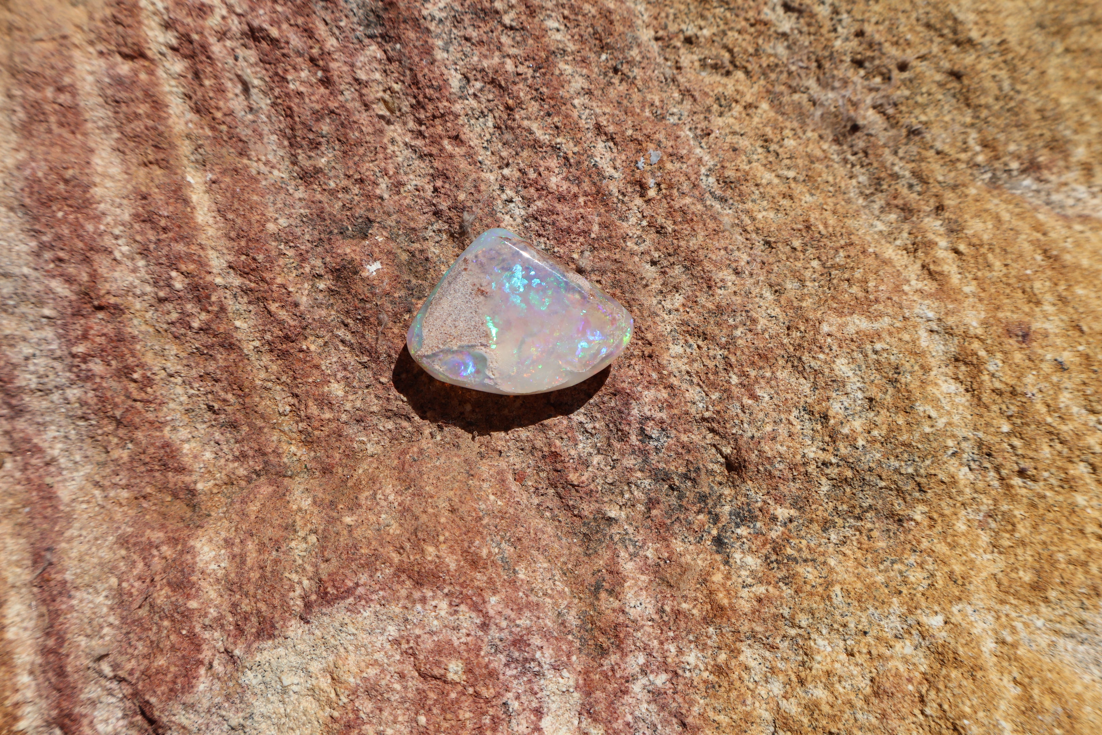 13.9ct Coober Pedy Opal Pippi Shell Fossil - Multi-Colour