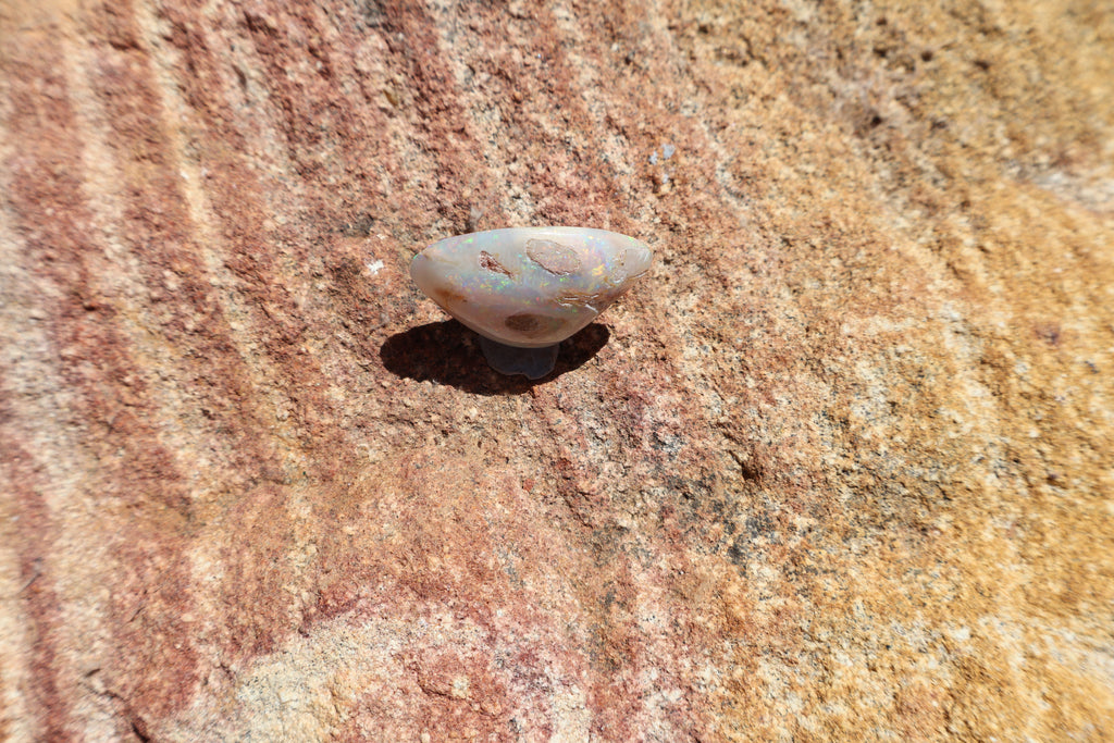 13.9ct Coober Pedy Opal Pippi Shell Fossil - Multi-Colour
