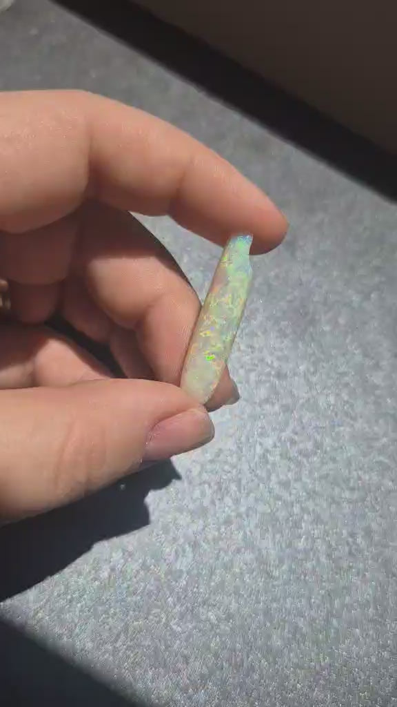 12.95ct Opalised Belemnite Fossil - Bright Full Multi-Colour | 34.5mm x 8.5mm